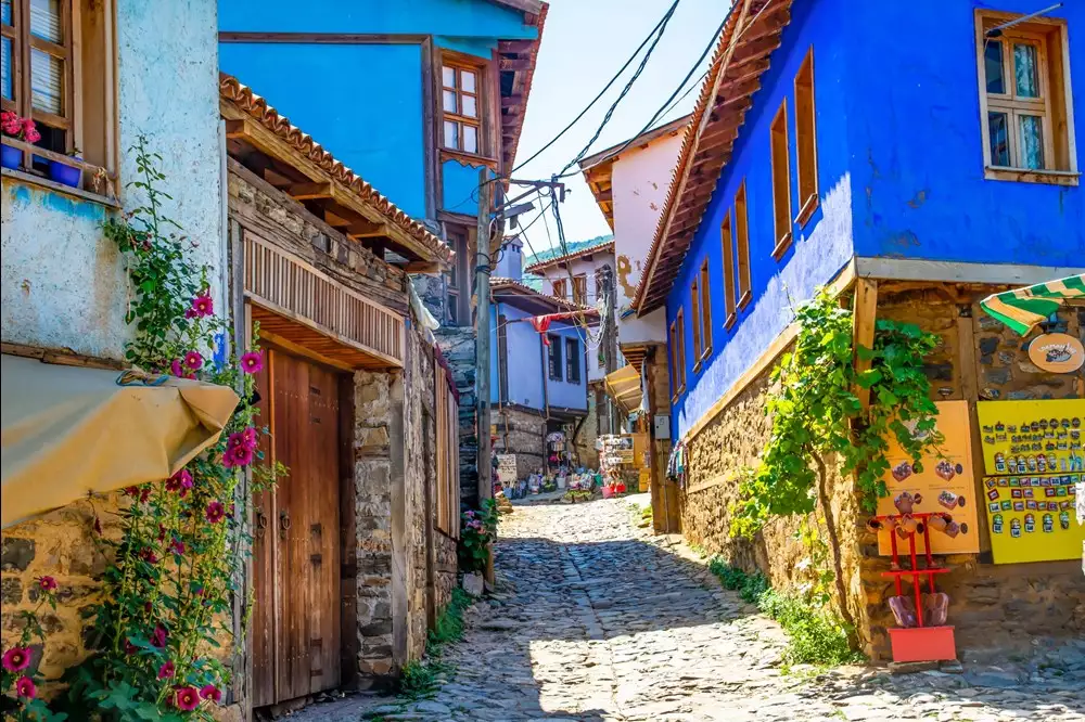 BURSA'NIN KÖYLERİ