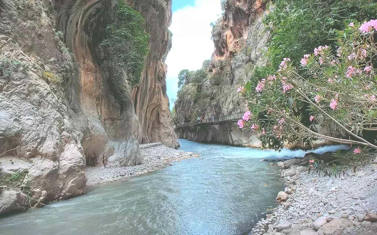 Tour Image
