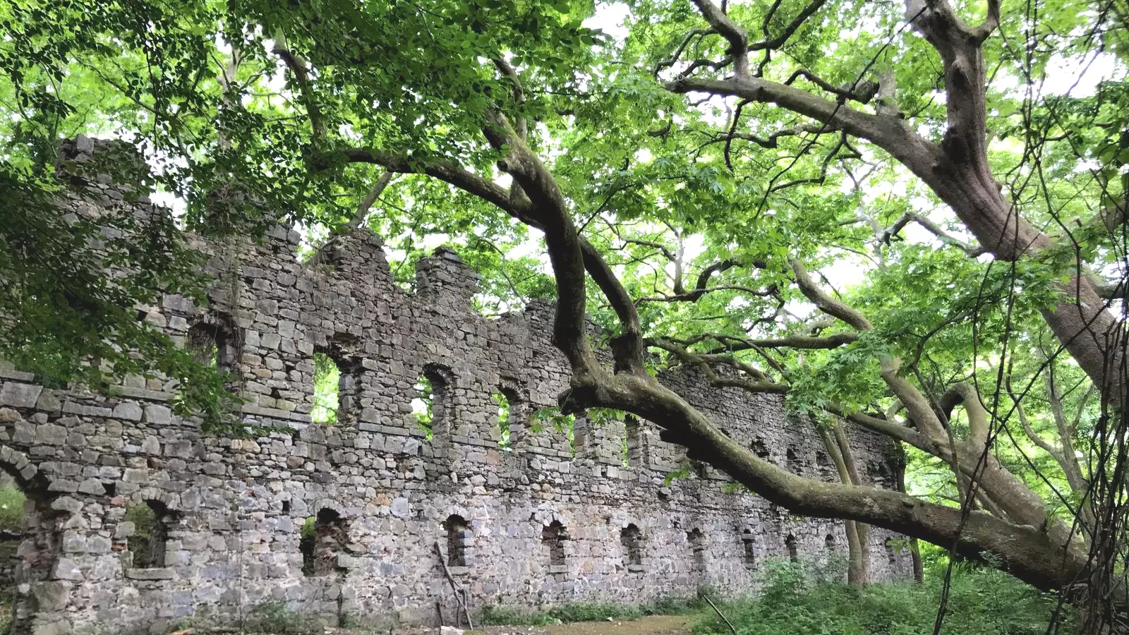Tour Image
