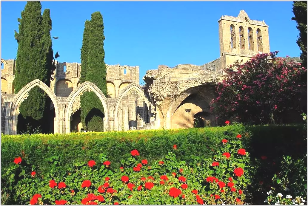 Tour Image