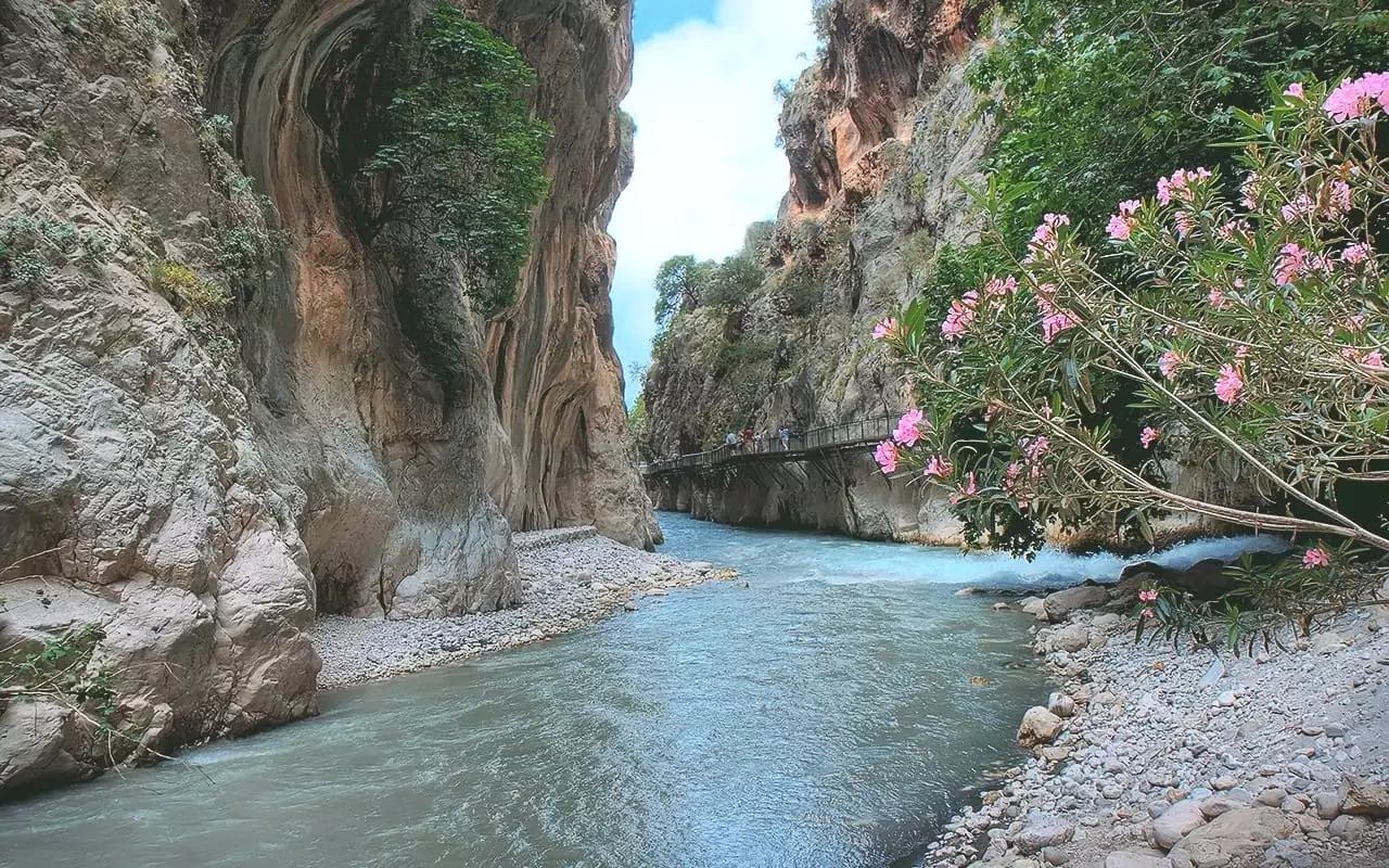 Tour Image