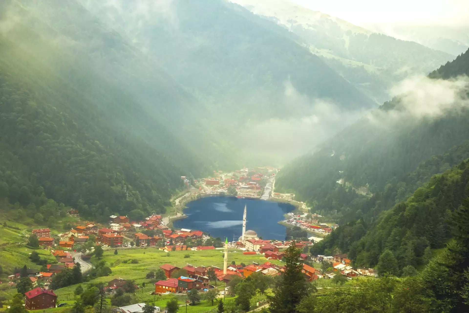 Tour Image