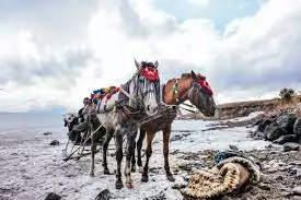 UÇAKLI VAN & KARS & ERZURUM TURU (3 GECE 4 GÜN)                  