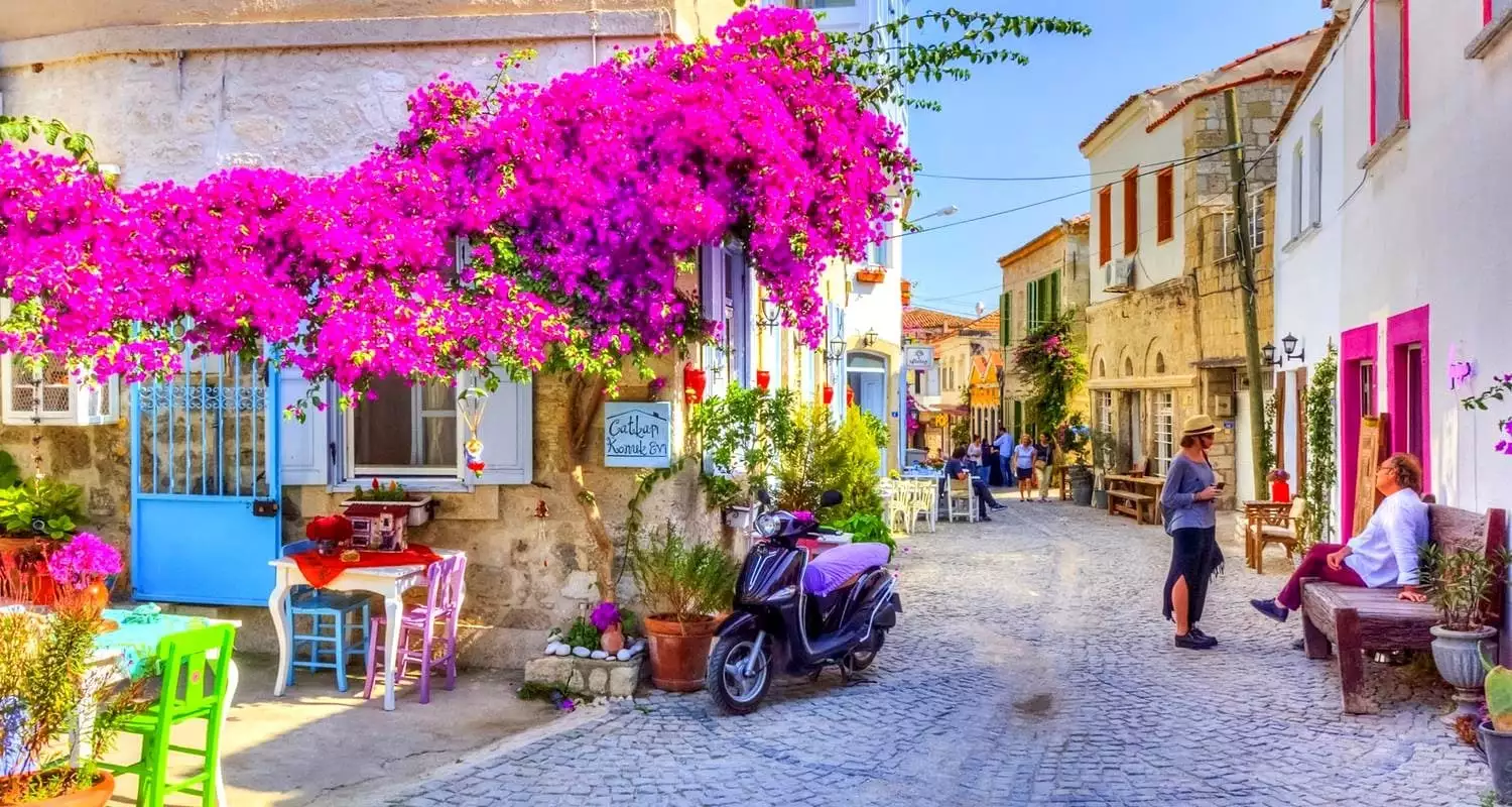 URLA ENGİNAR FESTİVALİ TURU